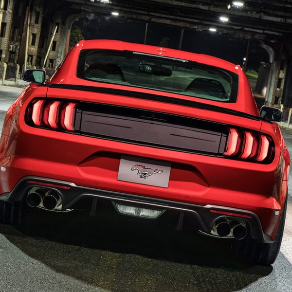 Pannello baule senza logo - Ford Racing Tail Panel No Logo - 2015-2022 ALL - immagine 8