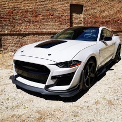 COFANI E PRESE D'ARIA / HOODS AND VENTS MUSTANG 2018-2022