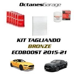 Service Kit for Ford Mustang Ecoboost 2015-2021 Bronze Kit