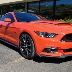 MMD Chin Spoiler Winglets (MUSTANG 15-17 GT, EcoBoost, V6)