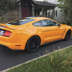 GT350 Style Fender Scoops - front (MUSTANG 15-21 Ecoboost, V6, GT) - immagine 3