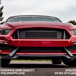 Alternative view of Replaceable Chin Spoiler for GT350 Style Front Bumper (MUSTANG 15-17 EcoBoost, V6, GT)