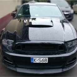 RTR Style Upper Grille (MUSTANG 13-14 GT, V6)