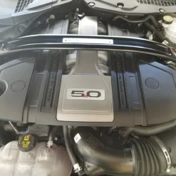 Ford Performance Black Strut Bar Mustang Ecoboost GT 15-21 - Image 10